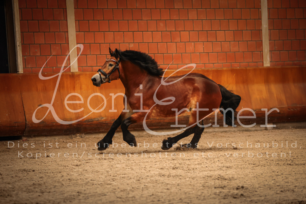 SaFL00048 | Leoni Ertmer Photography - Realisiert mit Pictrs.com