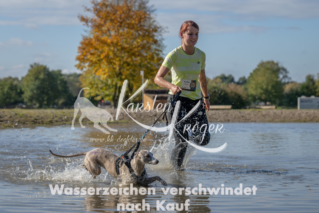 1330_ZZ90732 | kk-dogfotos