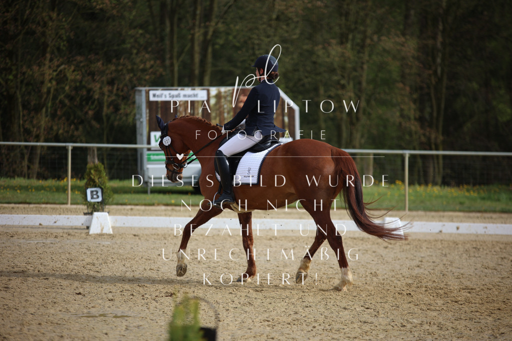 IMGT6777 | pl-fotografie