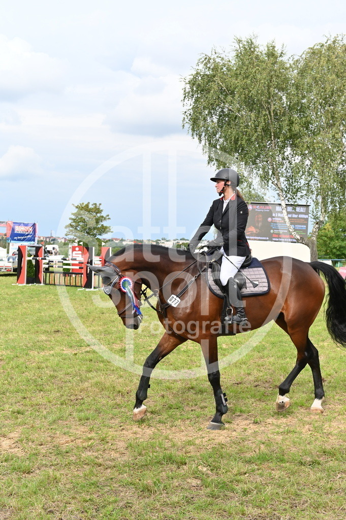 DSC_3832 | sattelsport - Realisiert mit Pictrs.com