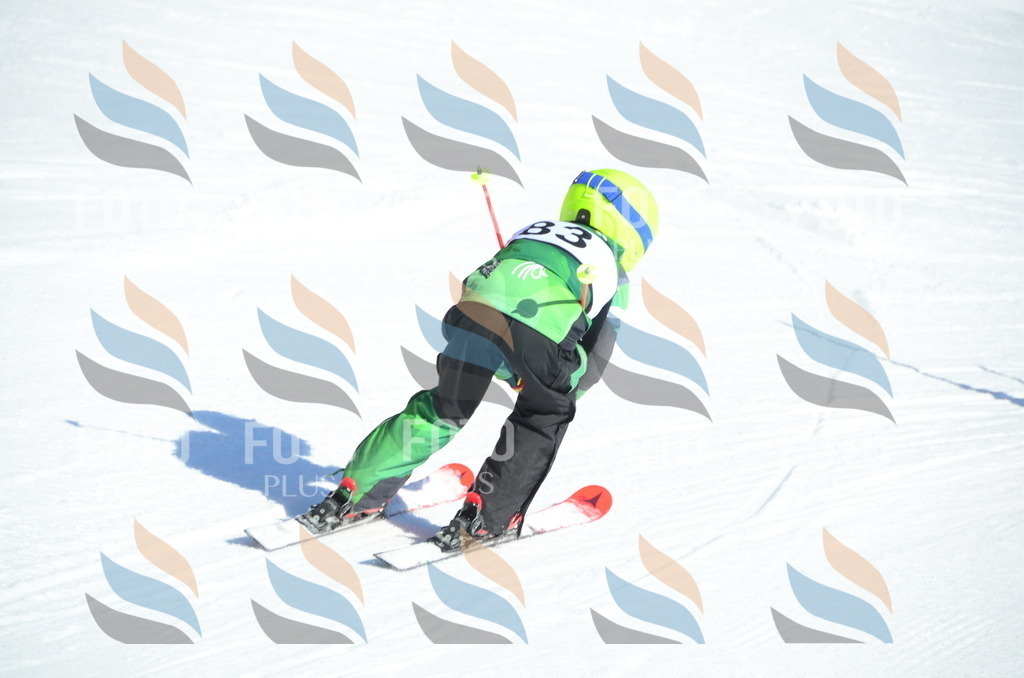 C5610 | holidayphoto