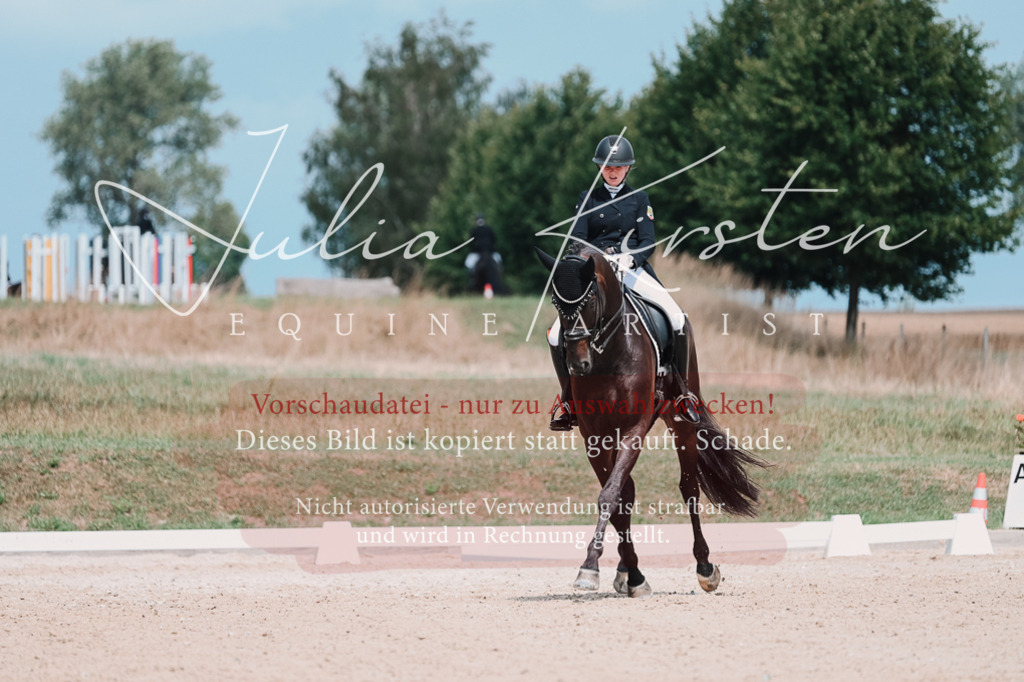 DSC_4333-2 | Pferde- und Turnierfotografie in Westsachsen. Pferdeportraits, Auftragszeichnungen und intuitive Kunst.