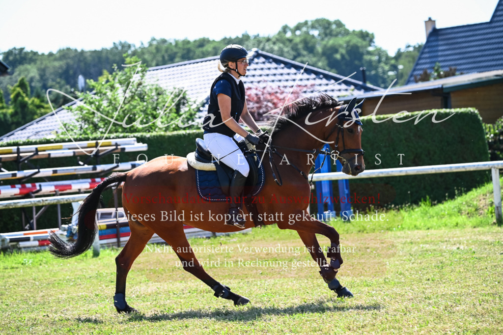 DSC_1420 | Pferde- und Turnierfotografie in Westsachsen. Pferdeportraits, Auftragszeichnungen und intuitive Kunst.