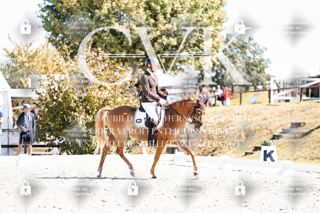 CK903750 | Turnierfotografie Pferdefotografie Trier Rheinland-Pfalz Pferdesport Reitsport Tierfotografie Sportfotografie Pferdevideo Pferdevideografie Equestrianvideography equestrianphotography  - Realisiert mit Pictrs.com