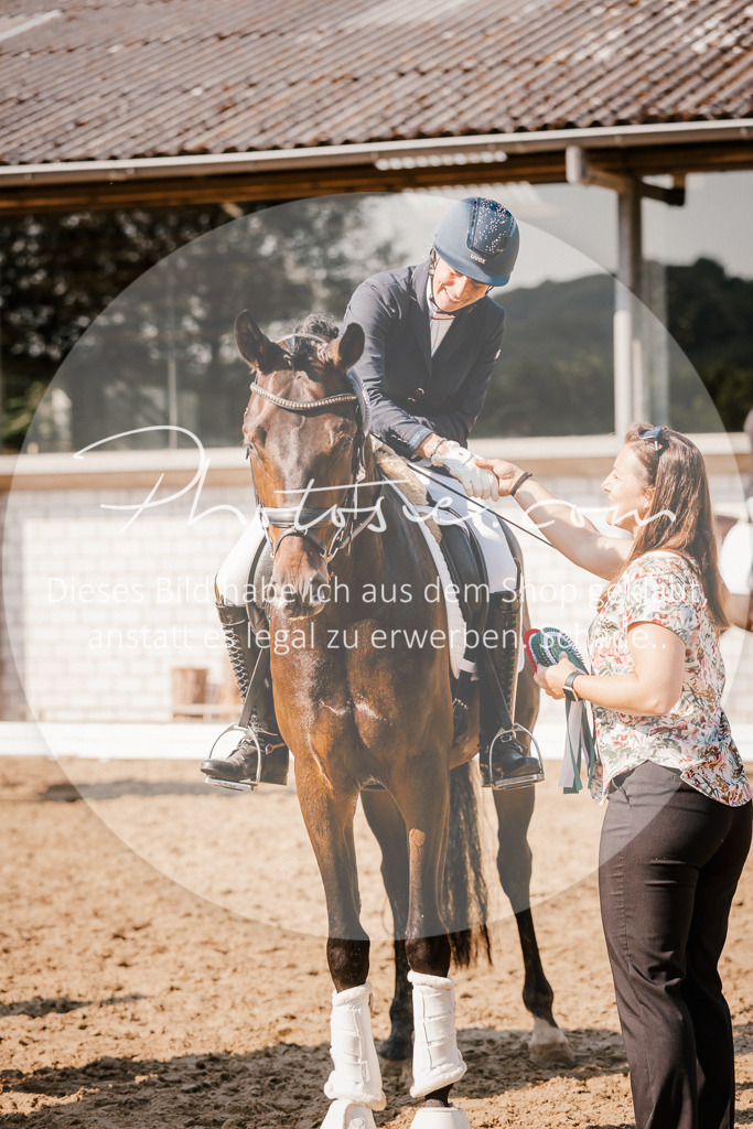 3I6A9194 | Stimmungsvolle Portraits und Reitsportfotografie im Ruhrgebiet und im Münsterland.

Pferdefotografie, Hundefotografie, Tierfotografie, Reportagen, Portraits von Tier und Mensch, Turnierfotografie in Bochum, Recklinghausen, Marl, Haltern am See, Dülmen.. - Realisiert mit Pictrs.com