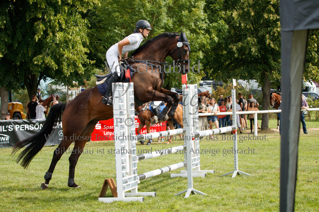 IMG_2905 | P. Berger Fotografie - Realisiert mit Pictrs.com