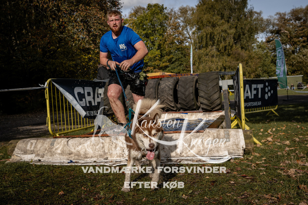 1346_ZZ92957 | kk-dogfotos