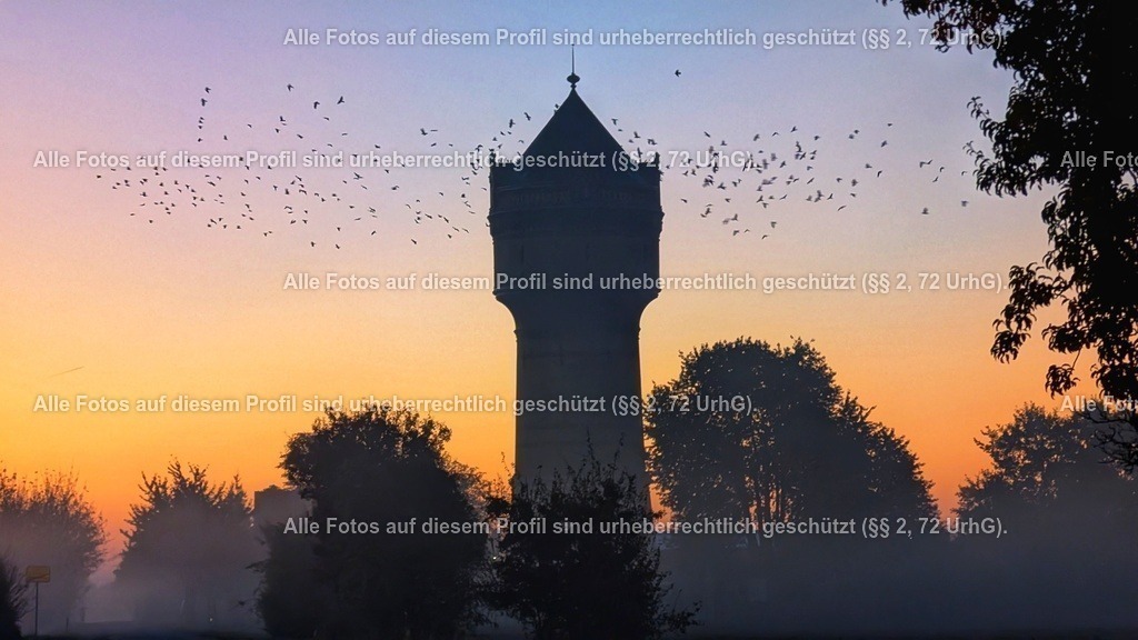 PXL_20241024_051950347 | krollfotografie - Realisiert mit Pictrs.com