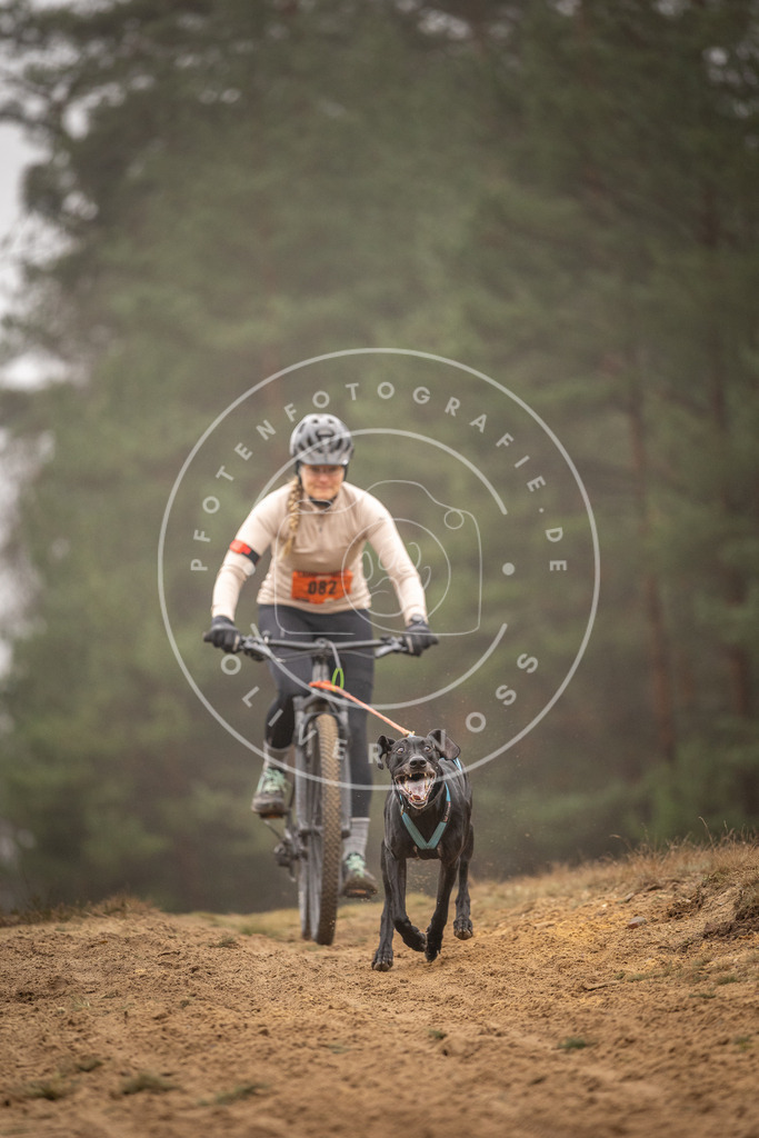 Pfotenfotografie_DV3A2770 | Hundefotografie, Tierfotograf, Pfotenfotografie, Fotoshooting Hund, Hunde Portrait, Hundesport, Hundeportraits, Heideshooting, Hunde, Sportfotograf, Hundefotograf, Turnierhundsport, THS,  - Realisiert mit Pictrs.com