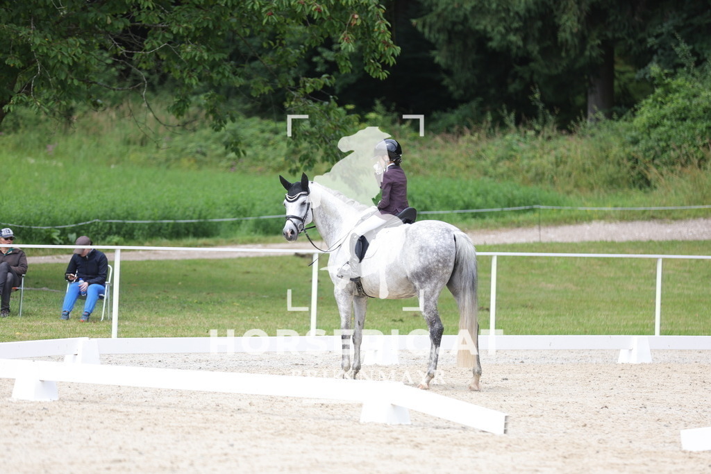 0P6A4372 | Willkommen bei Brunnmayr - Design & Fotografie – Ihrem Spezialisten für Reitturniere und Pferdeveranstaltungen in Oberösterreich, Salzburg und Bayern! Seit über 17 Jahren sind wir leidenschaftlich dabei.