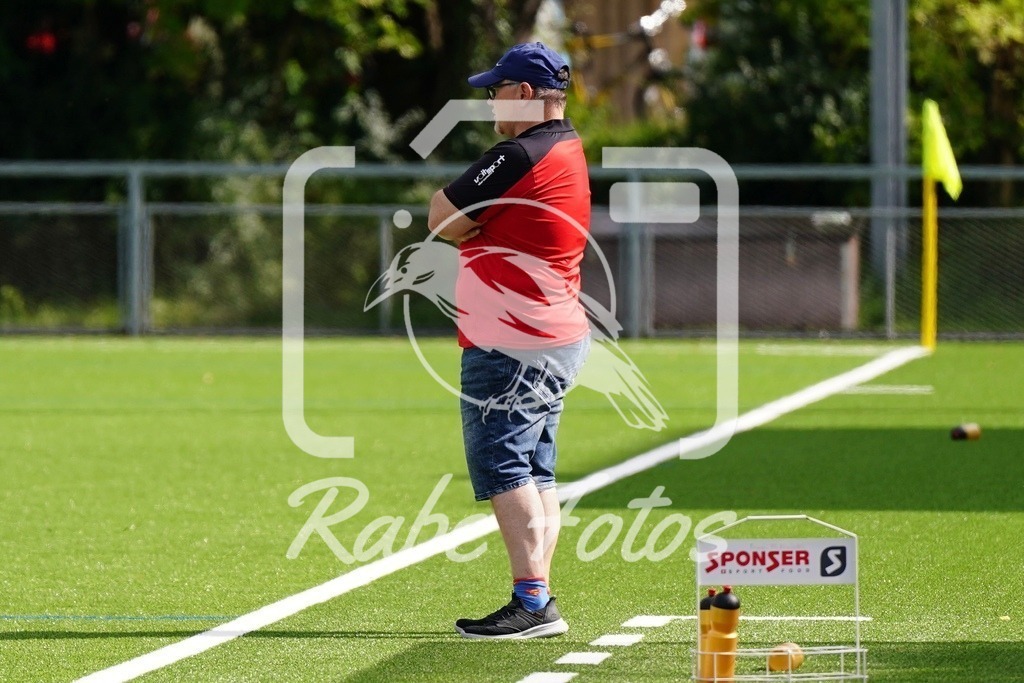 SON08883 | rabefotos