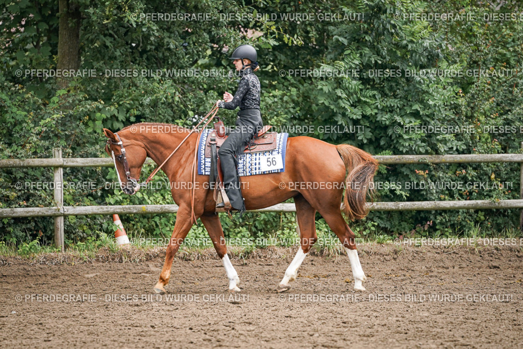 DSC02395 | Pferdegrafie