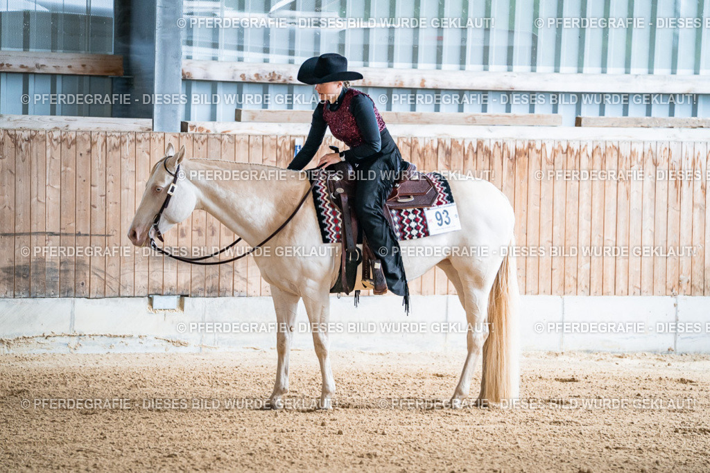 DSC01112 | Pferdegrafie