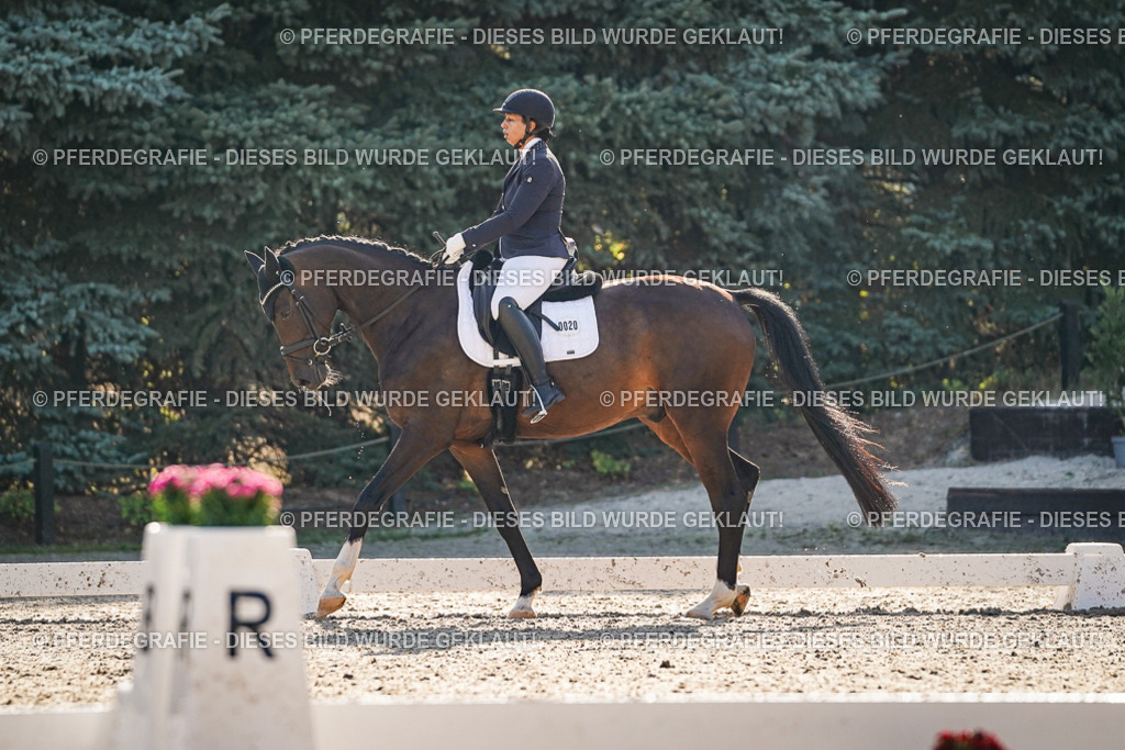 DSC08527 | Pferdegrafie