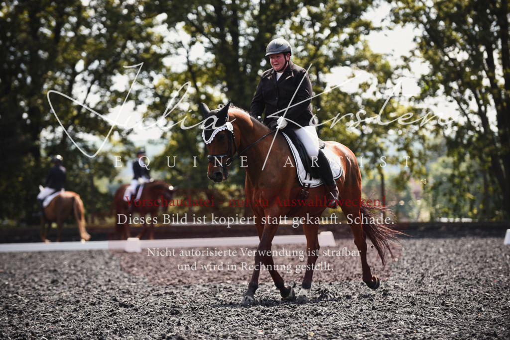 DSC_4167 | Pferde- und Turnierfotografie in Westsachsen. Pferdeportraits, Auftragszeichnungen und intuitive Kunst.