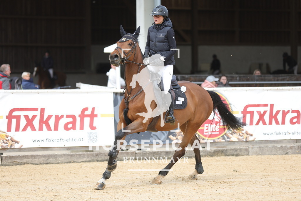 0P6A5367 | Willkommen bei Brunnmayr - Design & Fotografie – Ihrem Spezialisten für Reitturniere und Pferdeveranstaltungen in Oberösterreich, Salzburg und Bayern! Seit über 17 Jahren sind wir leidenschaftlich dabei.