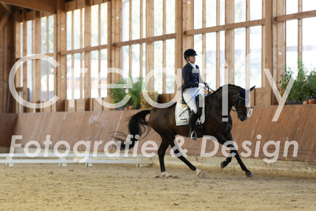 IMG_9916 | Creatify Fotografie