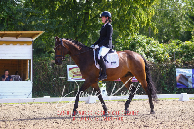 DKP42933 | Turniersportfotografie; Pferdefotografie; Dressurfotografie