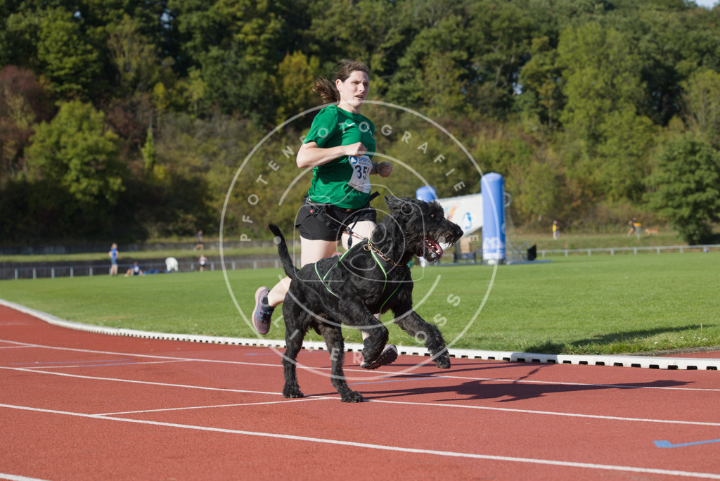 0L8A9642 | Hundefotografie, Tierfotograf, Pfotenfotografie, Fotoshooting Hund, Hunde Portrait, Hundesport, Hundeportraits, Heideshooting, Hunde, Sportfotograf, Hundefotograf, Turnierhundsport, THS,  - Realisiert mit Pictrs.com