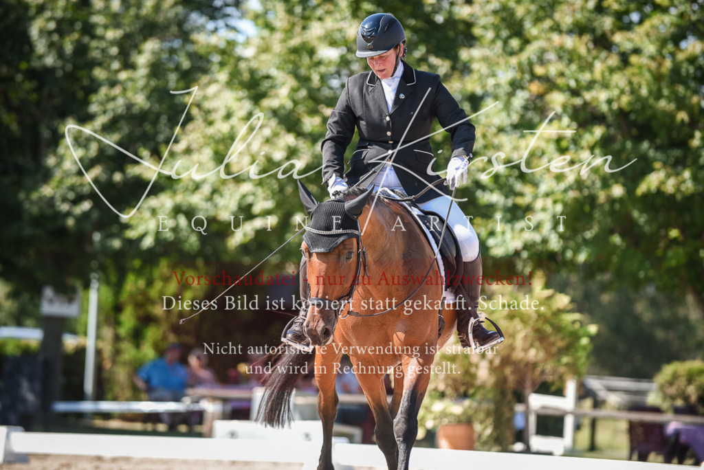 DSC_9656 | Pferde- und Turnierfotografie in Westsachsen. Pferdeportraits, Auftragszeichnungen und intuitive Kunst.