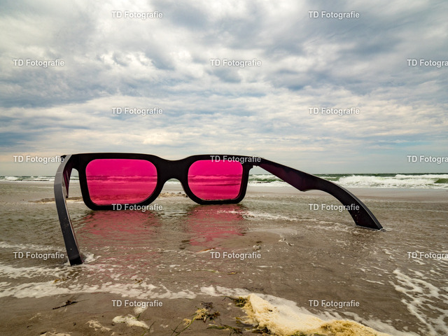 ostesse_natur-014040 | OLYMPUS DIGITAL CAMERA - Realisiert mit Pictrs.com