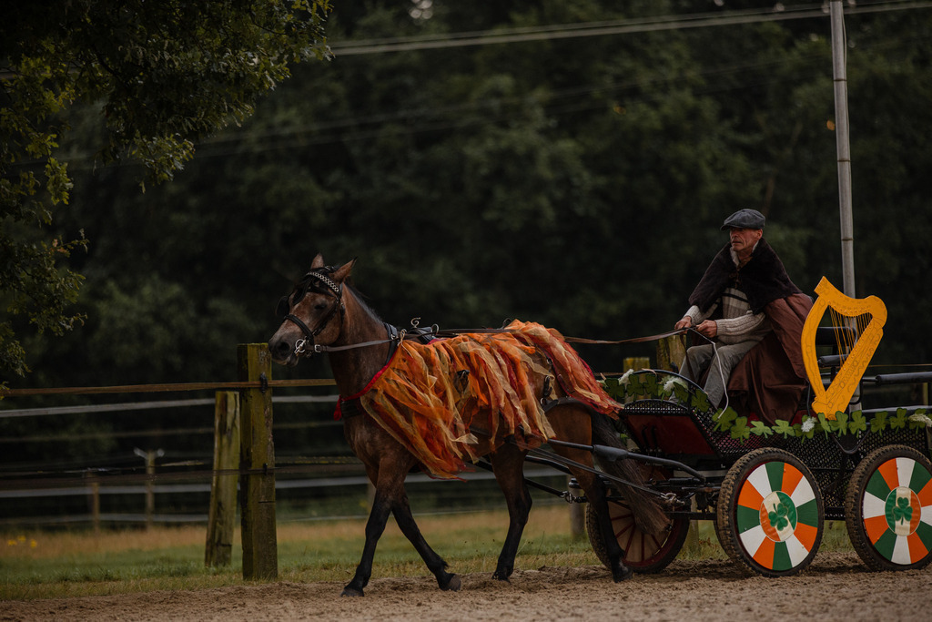 846A0154 | fotosleben - Realisiert mit Pictrs.com