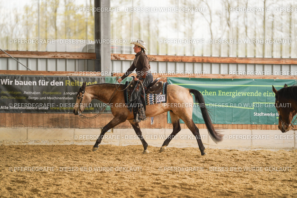 DSC08168 | Pferdegrafie