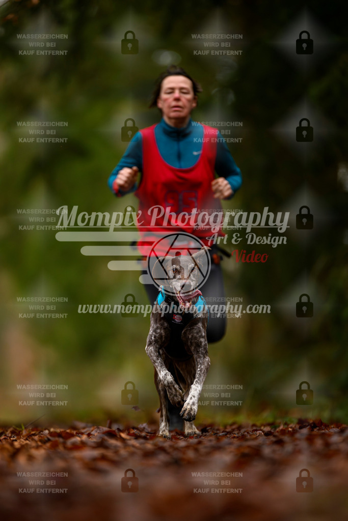 MompixPhotography_2SSTSSBW_2025_SO_Canicross-36 | PayLife