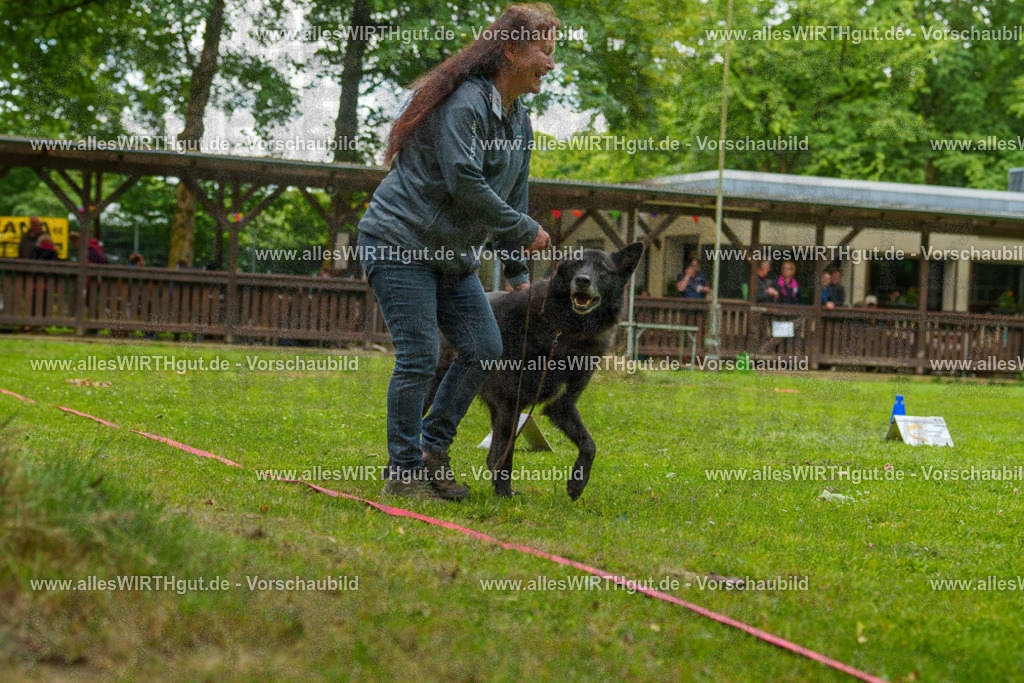 @allesWIRTHgut_Tierfotografie - www.allesWIRTHgut.de - 7R500240 | Professionelle Tierfotografie in Mönchengladbach von Daniel Wirth (allesWIRTHgut). Liebevolle & natürliche Bilder von Hunden & Katzen für unvergessliche Erinnerungen.