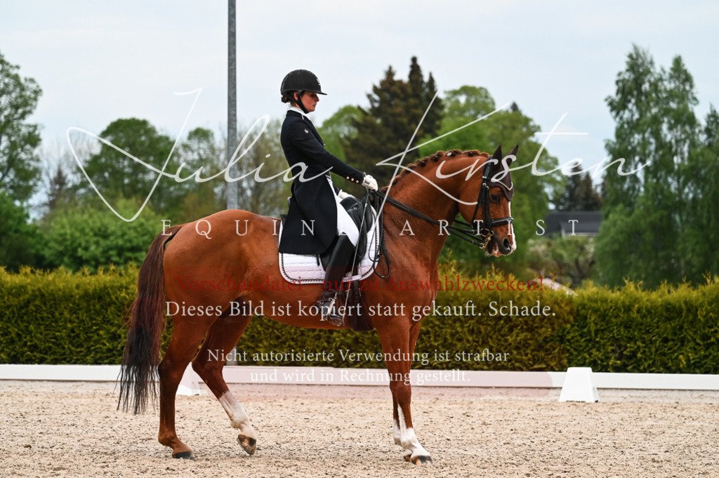 20230513_JK-Röhrsdorf-13-611 | Pferde- und Turnierfotografie in Westsachsen. Pferdeportraits, Auftragszeichnungen und intuitive Kunst.