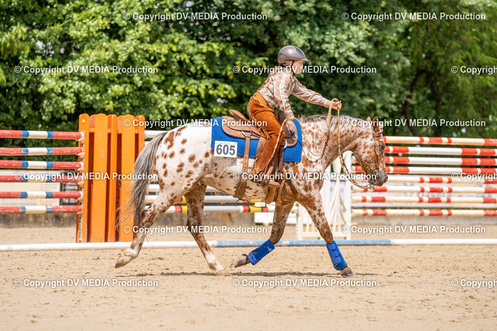 Zeiskam Tag 1-1101 | dv-media-shop - Realisiert mit Pictrs.com