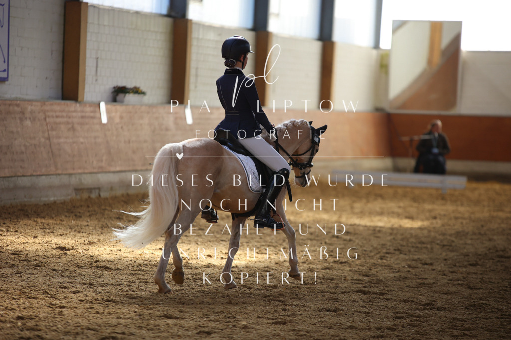 IMGT6596 | pl-fotografie