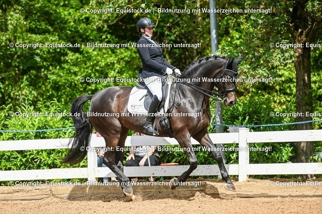 20230716_01_Dressurprüfung Kl.M_0131 | equistock