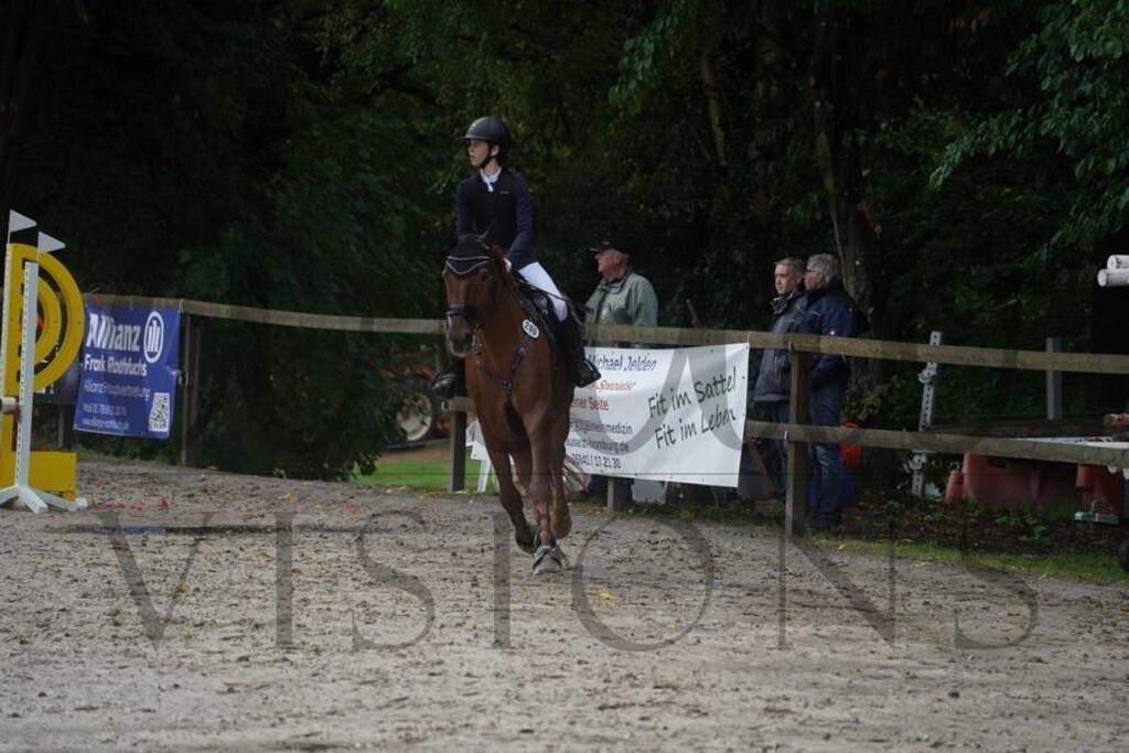 rveinoedsonntag (132) | d.tail Visions - Shop - Realisiert mit Pictrs.com