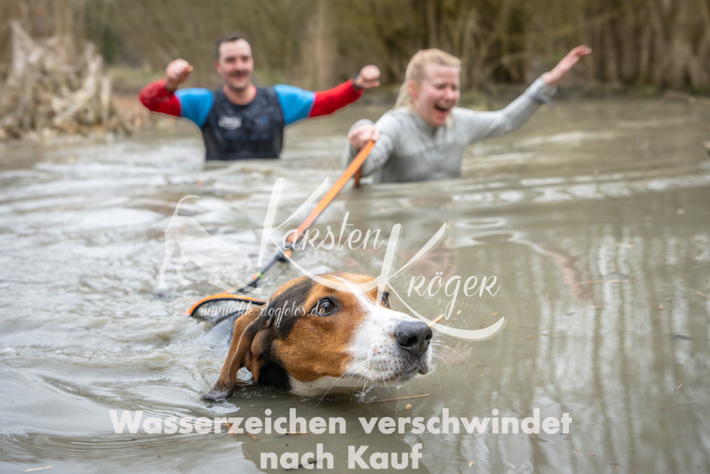 1343_ZZ92026 | kk-dogfotos