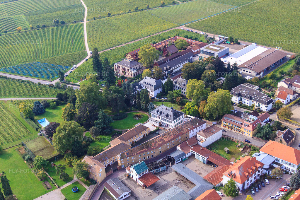 Luftbild: Weingut Dr. Bürklin-Wolf in Wachenheim an der Weinstraße im Bundesland Rheinland-Pfalz in Deutschland. Foto: IMG_34309.jpg vom 03.10.2010 durch Werner Riehm/FLY-FOTO.deWeingut Dr. Bürklin Wolf: Weingut Dr. Bürklin-Wolf