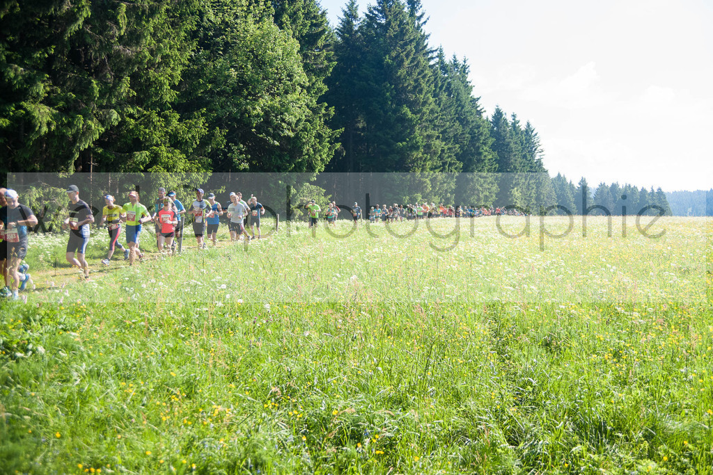 Rennsteiglauf 2018 | Neuhaus/Rwg. - Schmiedefeld am 26. Mai 2018