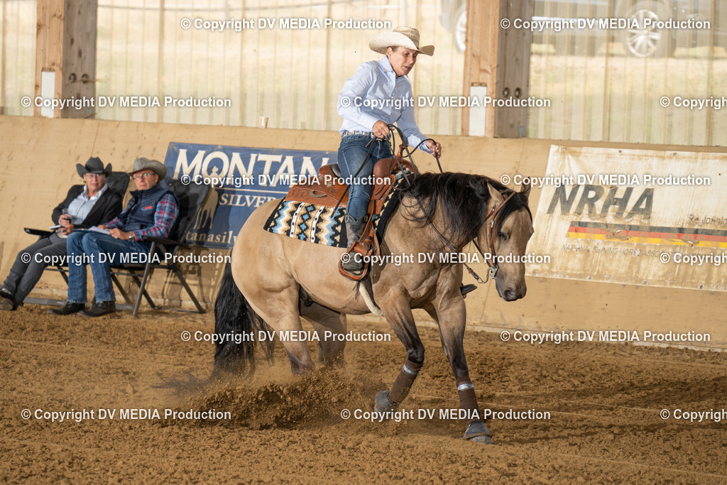 LAU01478 | dv-media-shop - Realisiert mit Pictrs.com