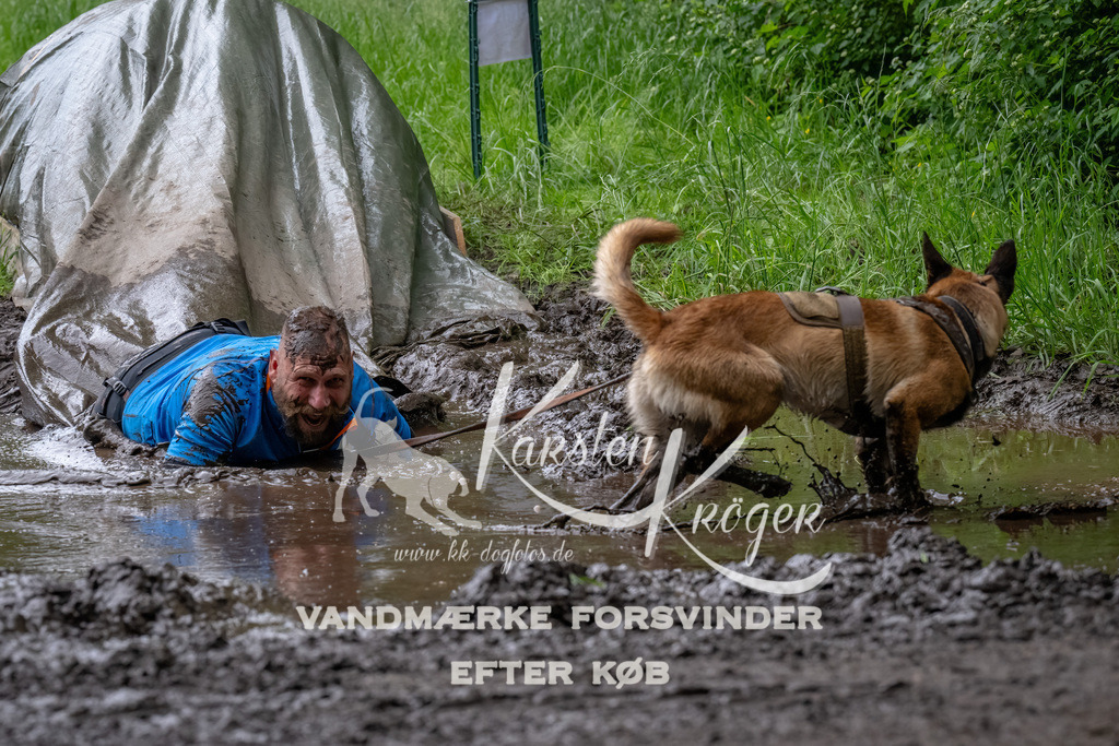 1642_ZZ94940-Bearbeitet | kk-dogfotos