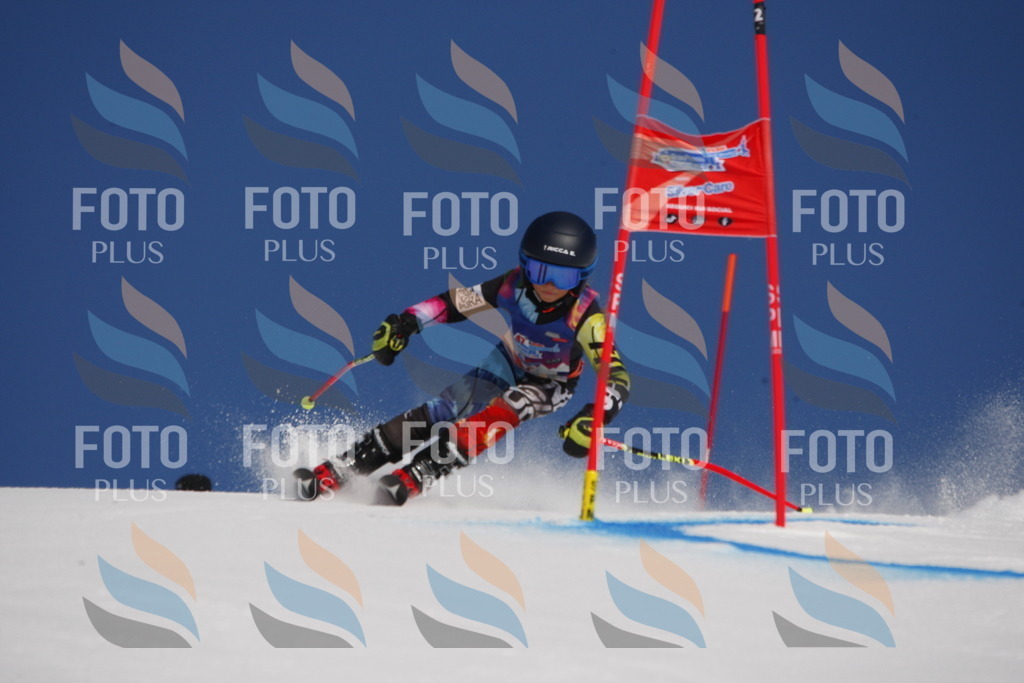 _W1G0072 | holidayphoto