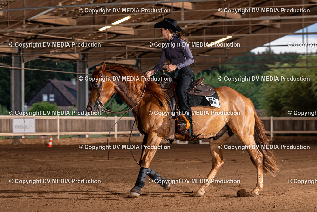 Erbach Tag 1-1295 | dv-media-shop - Realisiert mit Pictrs.com