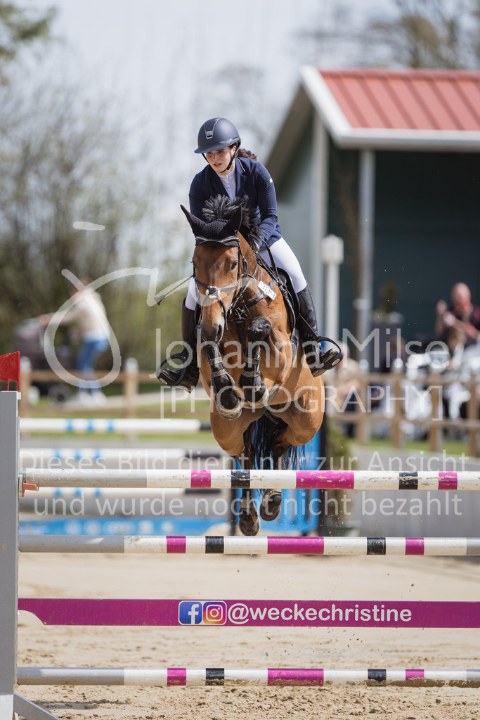 230501_SpengeW_M2St-163 | Deine schönsten Turniermomente als professionelle Fotos! Entdecke hochwertige Pferdesport-Fotografie im Online-Shop. Jetzt Fotos finden & bestellen!