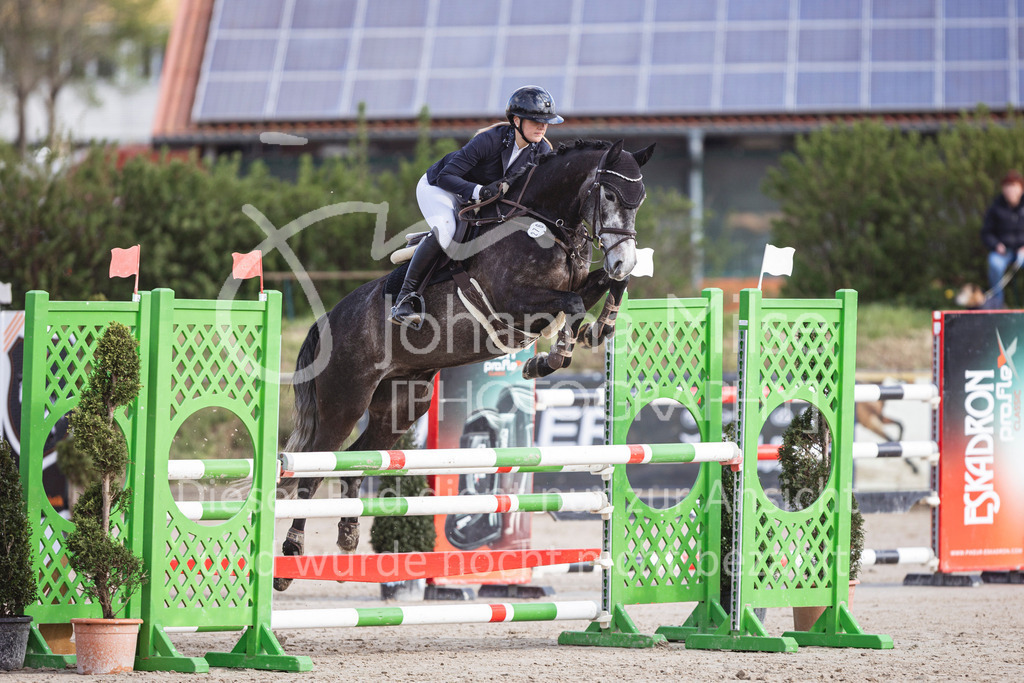 250419_Frühlingsfest_Springpf-L-315 | Deine schönsten Turniermomente als professionelle Fotos! Entdecke hochwertige Pferdesport-Fotografie im Online-Shop. Jetzt Fotos finden & bestellen!