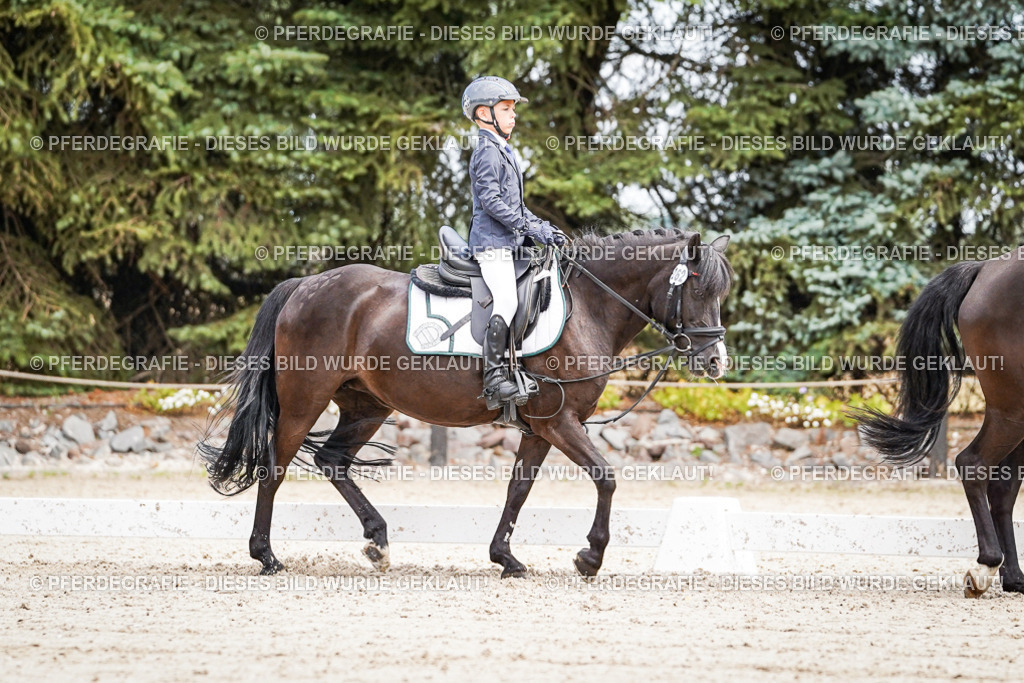 DSC02851 | Pferdegrafie