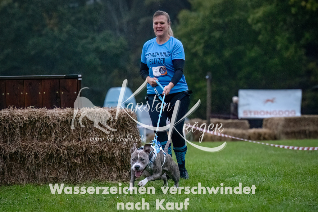 0812-_ZZ90637-Bearbeitet-Bearbeitet | kk-dogfotos