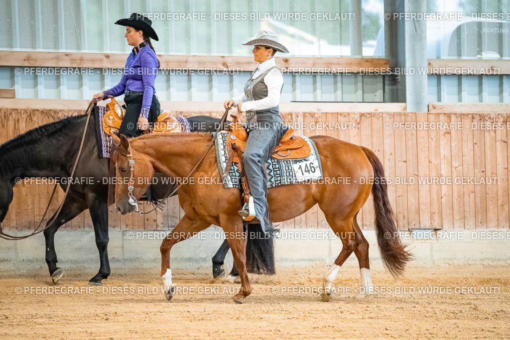 DSC09934 | Pferdegrafie