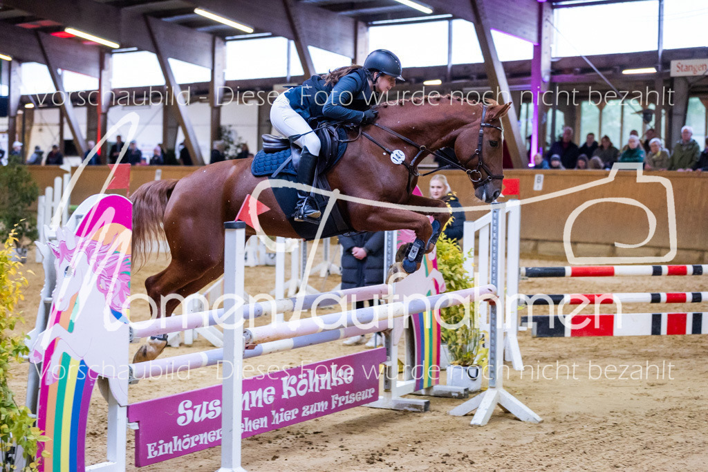 Sth-A-Spr.m.st.A.-061 | MomenTaufnahmen Pferdesportfotos