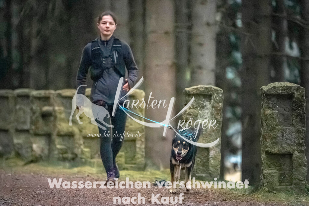 0830DZ6_3237 | kk-dogfotos