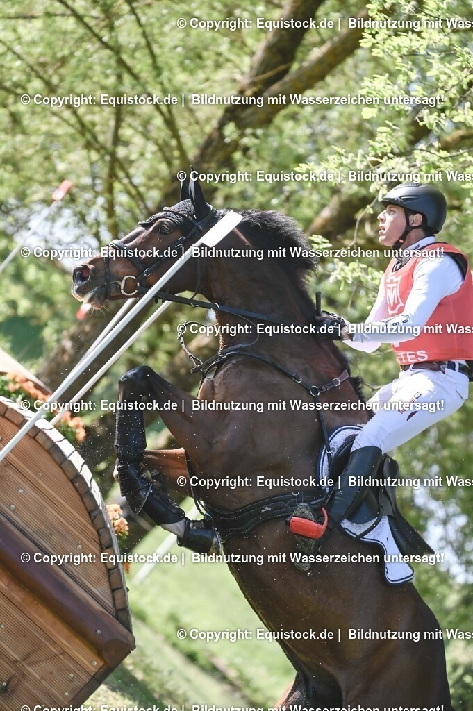 20250517_CCI2_Gelände_0152 | Foto: Thomas Hartig