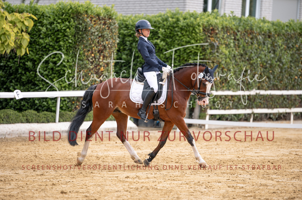 Schugtsche-Aluta25-40.DressurprfA_-306 | Schugtsche Fotografie - Realisiert mit Pictrs.com